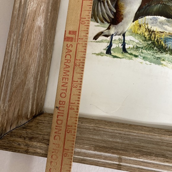 2 Fred Sweney Embossed Plastic Picture Prints Ducks and White Tailed Deers - Picture 7 of 16